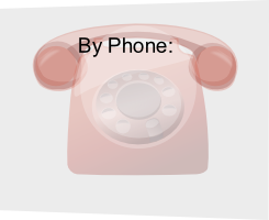 By Phone:
